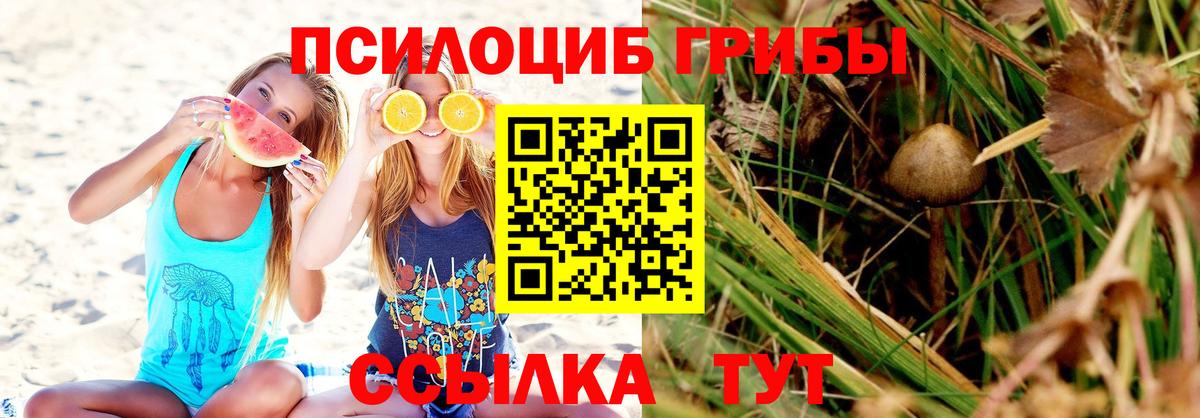 Саров  Псилоцибиновые грибы мухоморы  Вход с VPN 
